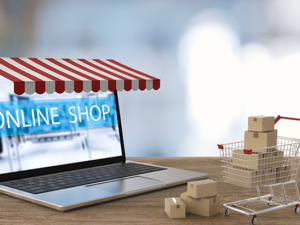 E-Commerce Storefront Setup Service