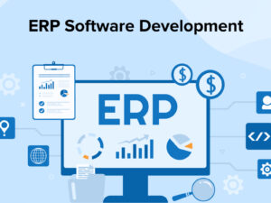 Enterprise Resource Planning (ERP) System Development (per hour)