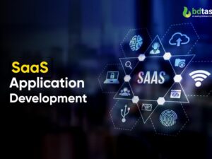 SaaS Application Development (per hour)