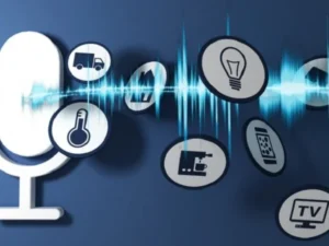 Voice Assistant Integration