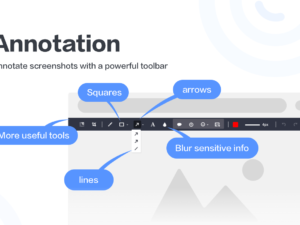 Screenshot & Annotation Extension