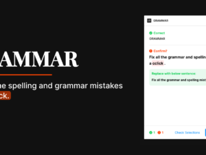 Grammar Checker Extension