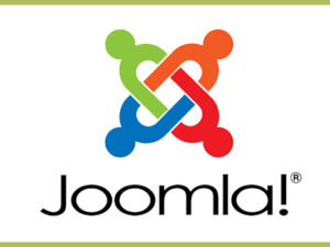 Joomla CMS Development