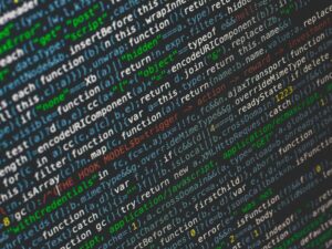 WordPress API Development