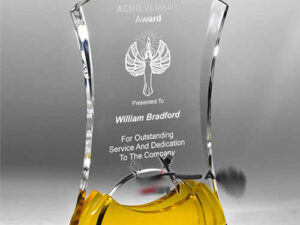 Medal & Plaque Designer