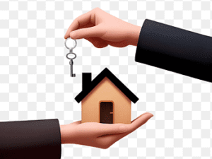 Auction House Management