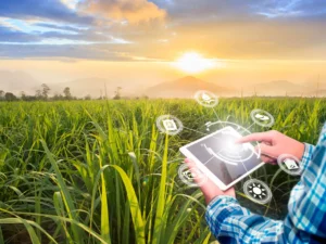 Farm Management Software