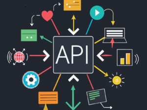 Third-Party API Integration into Website (Hourly Rate)