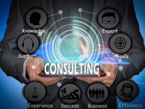 IT Consulting