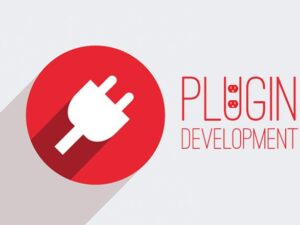 WordPress Plugin Development