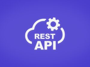 REST API Development (Hourly Rate)