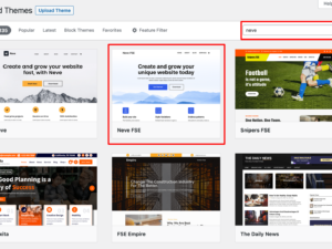 WordPress Theme Customization Service