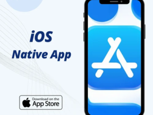 Native iOS App Development with Swift (Hourly Rate)