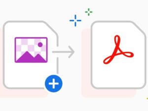 Bulk Image to PDF Conversion Service