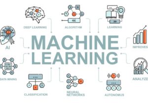 Custom Machine Learning Models (Hourly Rate)