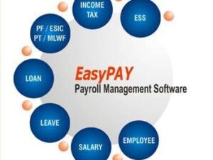 Custom Payroll Processing Software